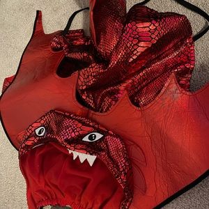 Dog Halloween dragon costume XL